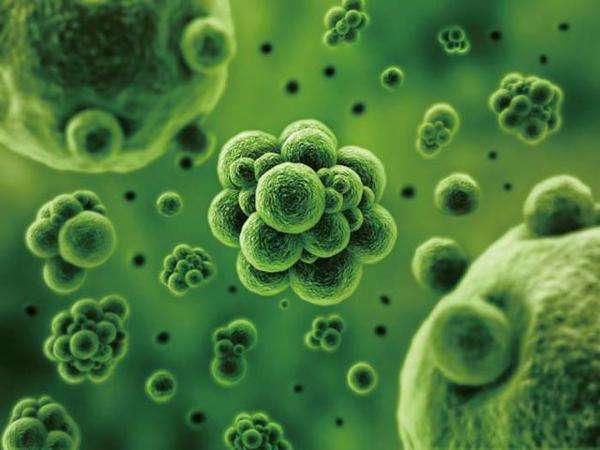 大部分公共场所空调未定期消毒,脏风可诱发多种疾病-空调清洗-清洗空调-开景空调清洗